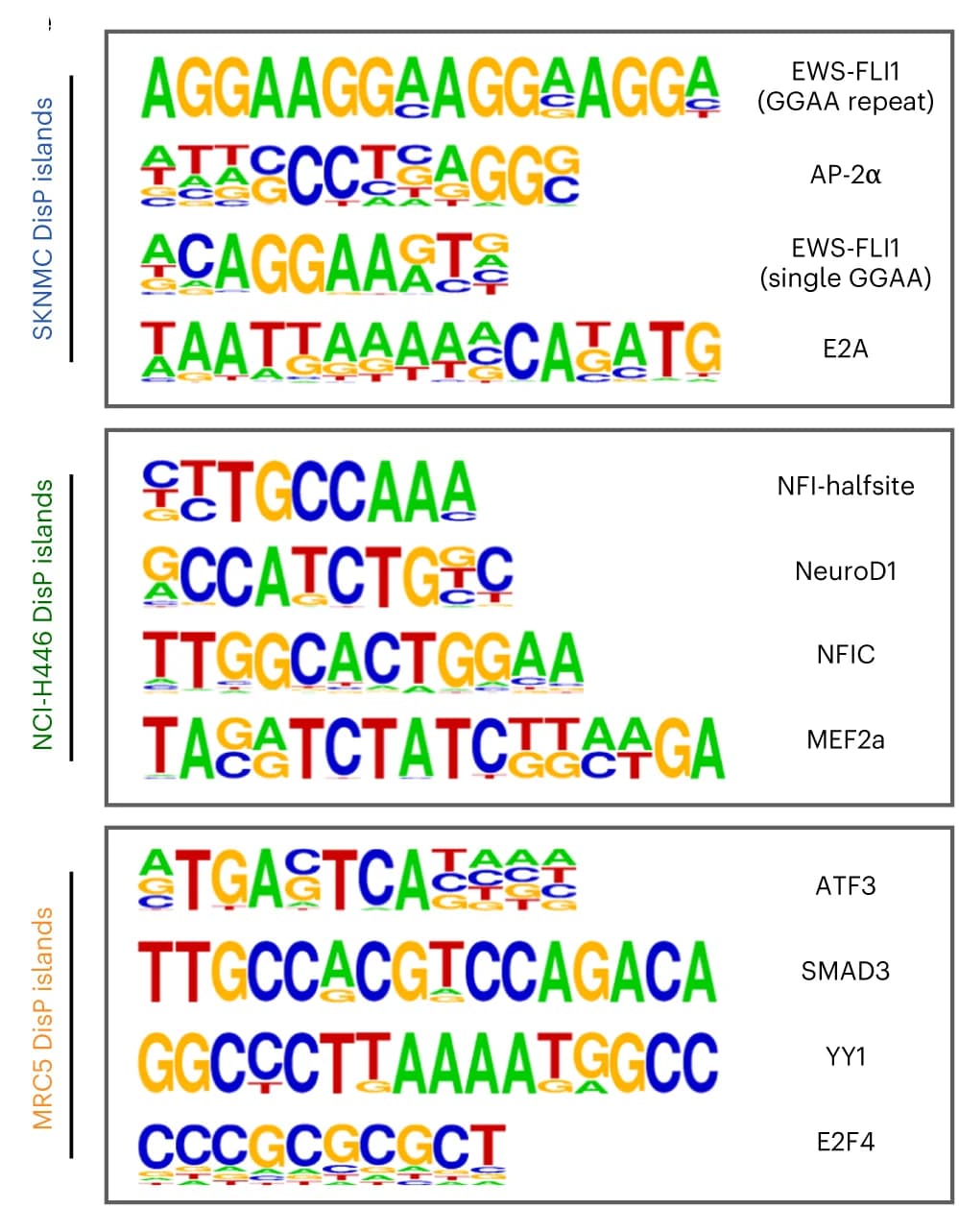 Open access visualization of Sequence Logo, Motif Analysis, DisP Islands, SKNMC Cells, NCI-H446 Cells