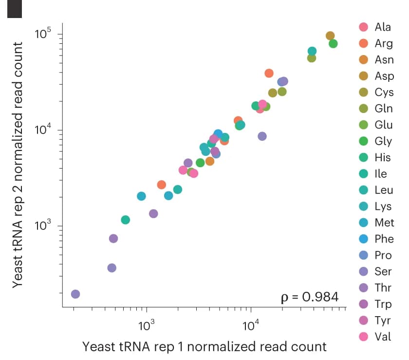 Open access visualization of Scatter Plot, Regression Plot, tRNA abundance, Nano-tRNAseq, S. cerevisiae