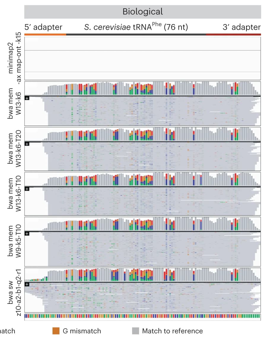 Open access visualization of Bar Plot, Stacked Bar Plot, IGV snapshots, Reads, S. cerevisiae