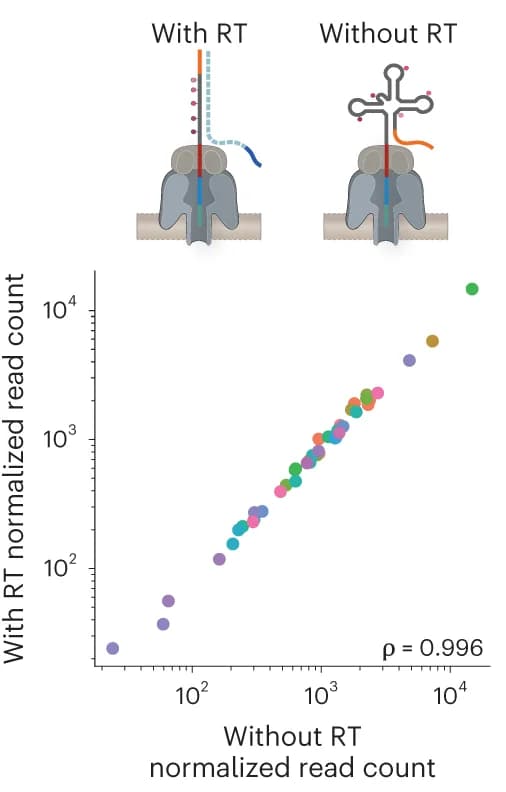 Open access visualization of Scatter Plot, Illustration, tRNA, Nano-tRNAseq, S. cerevisiae