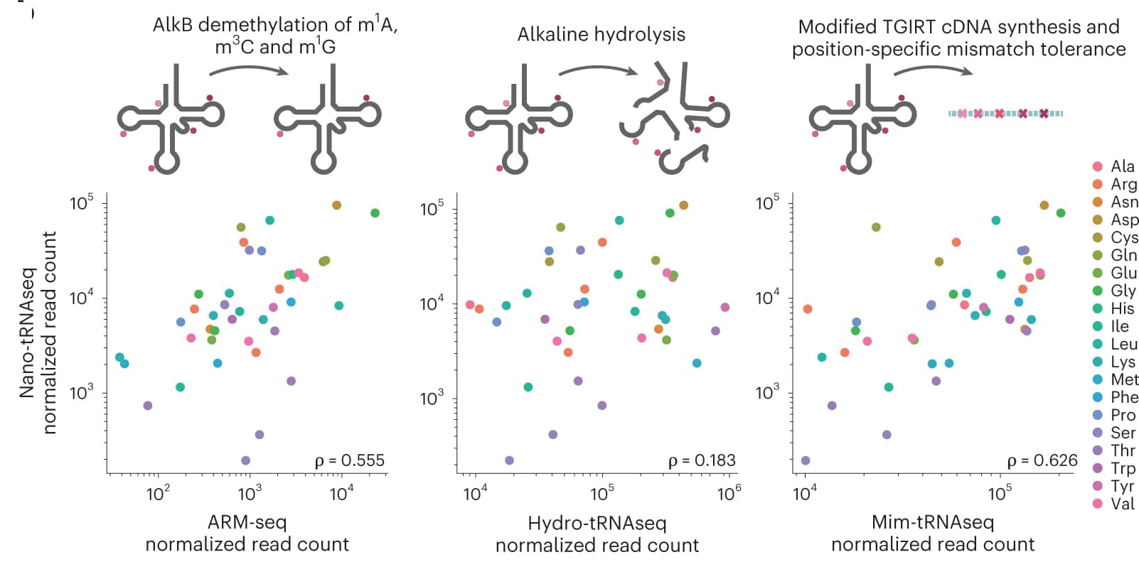 Open access visualization of Scatter Plot, tRNA, Illumina Sequencing, S. cerevisiae, Spearman’s Correlation Coefficient