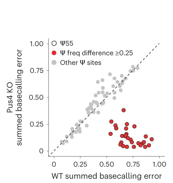 Open access visualization of Scatter Plot, Mismatch Frequency, Ψ Sites, S. cerevisiae, Pus4 KO