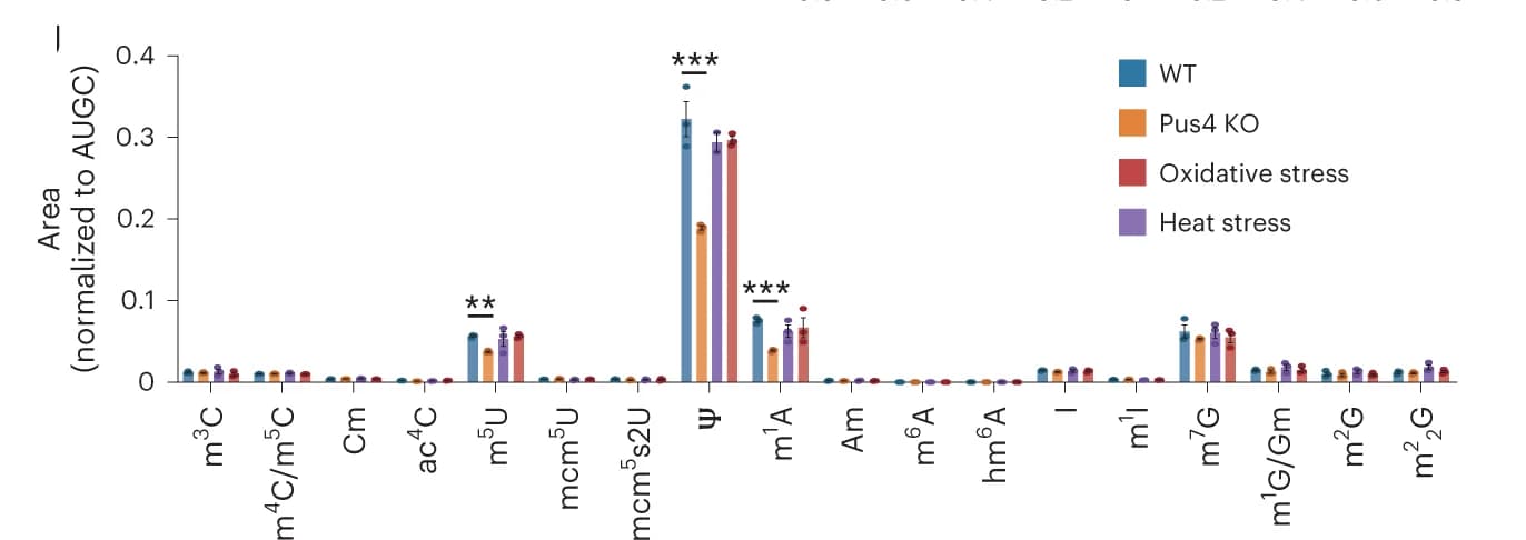 Open access visualization of Bar Plot, Error Bars, Clustered, LC–MS/MS, S. cerevisiae