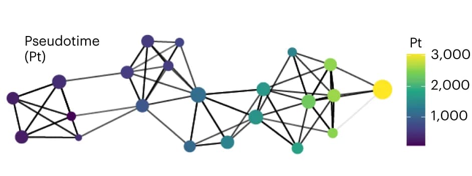 Open access visualization of Network, Graph, Laminar Window Clusters, Pseudotime, Diffusion Analysis