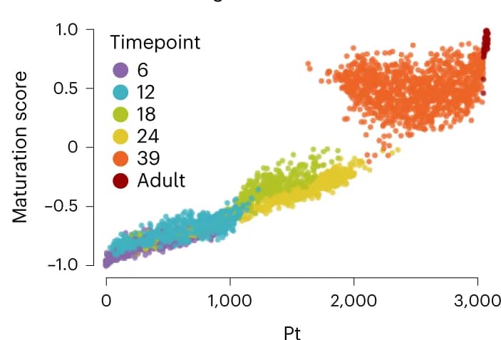 Open access visualization of Scatter Plot, Signal Similarity, Laminar Window, Adult Laminar Windows, Pseudotime