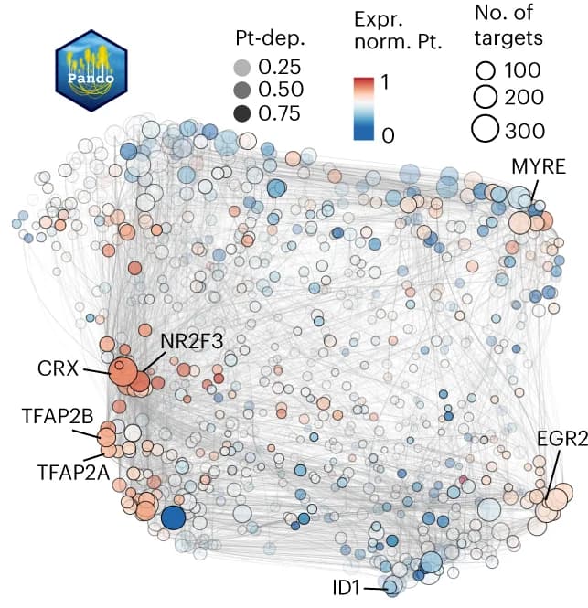 Open access visualization of Network, UMAP, TF Network, Co-expression, Transcription Factors