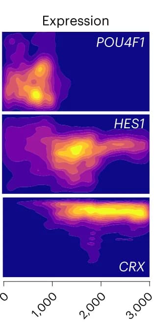 Open access visualization of Density Plot, Ridge Plot, Heat Map, RGCs, Muller Glia