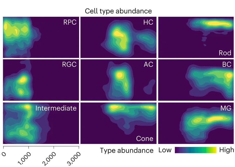 Open access visualization of Density Plot, Ridge Plot, Heat Map, Nuclei, Cell Types