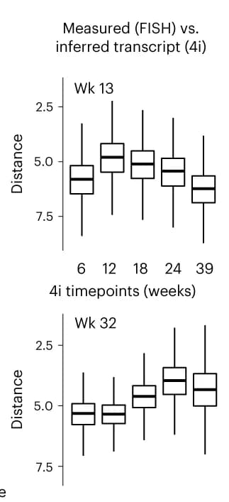 Open access visualization of Box Plot, Box plots, Euclidean genomic distances, Laminar windows, FISH data