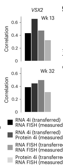 Open access visualization of Bar Plot, Bar plots, Spatial correlation, Multimodal metacells, FISH