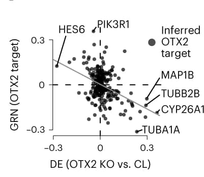 Open access visualization of Scatter Plot, Regression Plot, Volcano Plot, Differential Expression, OTX2 LOF