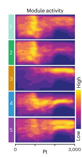 Open access visualization of Heatmap, Heat Map, Module Activity Scores, Retinal Organoid, Spatiotemporal Multimodal Map