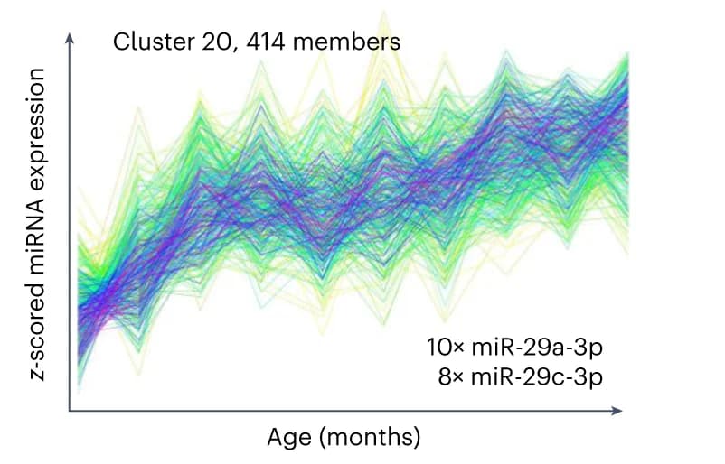 Open access visualization of Line Plot, miRNA Trajectory Clustering, Cluster, Aging miRNA, miRNAs