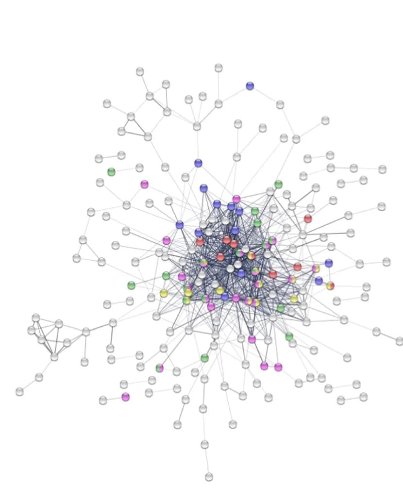 Open access visualization of Network, Pathway, STRING Network, Proteins, Target Transcripts