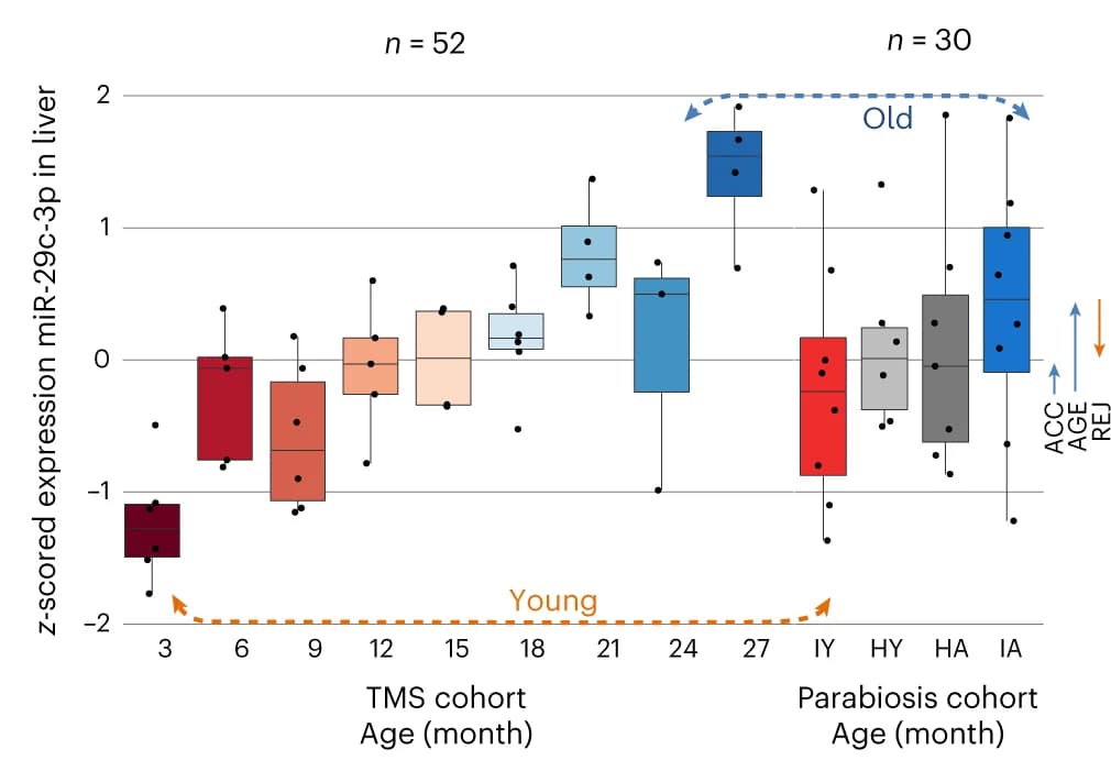 Open access visualization of Box Plot, Scatter Plot, Boxplot, Expression, z-scores