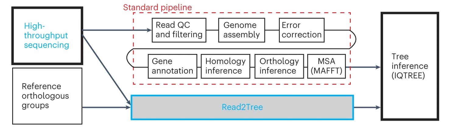 Open access visualization of Workflow, Flowchart, Illustration, Phylogenetic Tree, Bioinformatics Pipeline