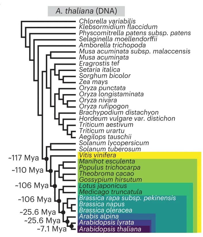 Open access visualization of Network, Pathway, Phylogenetic Trees, Reference Datasets, Species Mapping