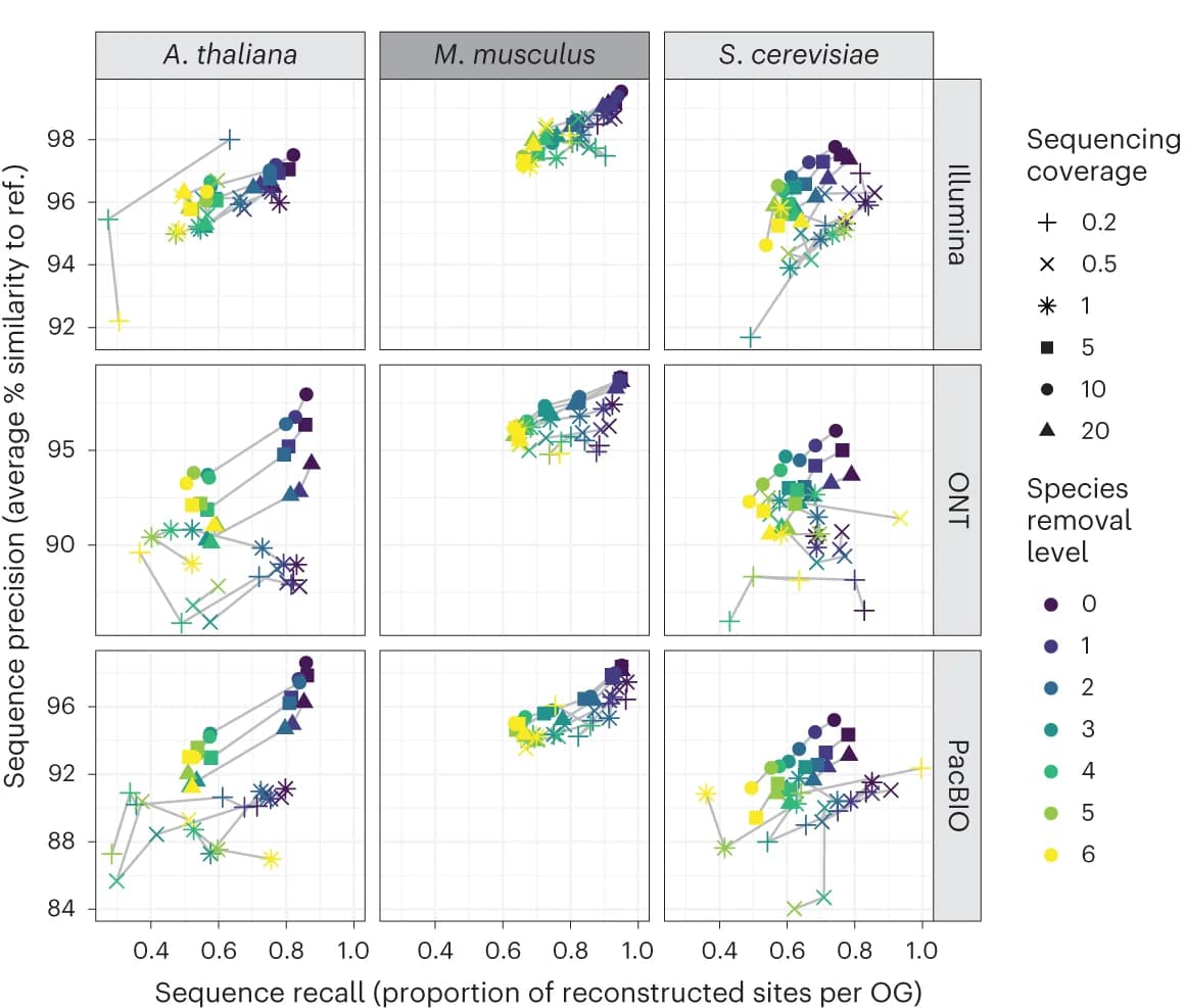Open access visualization of Scatter Plot, Line Plot, Read2Tree, Sequence Similarity, Percentage Identity