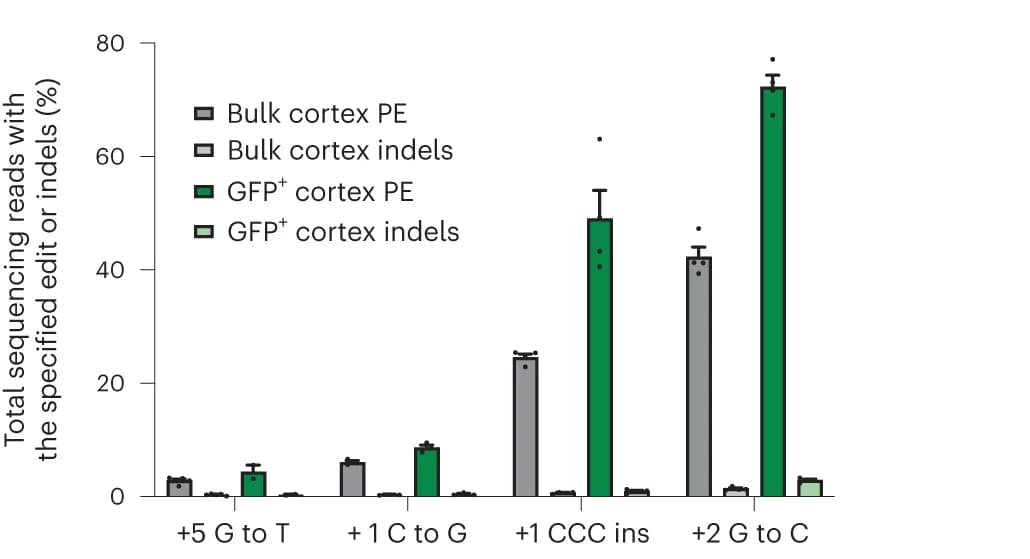 Open access visualization of Bar Plot, Error Bars, In Vivo Editing Activity, v1 PE3-AAV9, Neonatal C57BL/6 Pups