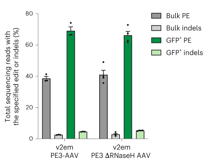 Open access visualization of Bar Plot, Error Bars, Clustered, C57BL/6 Pups, ICV Injection