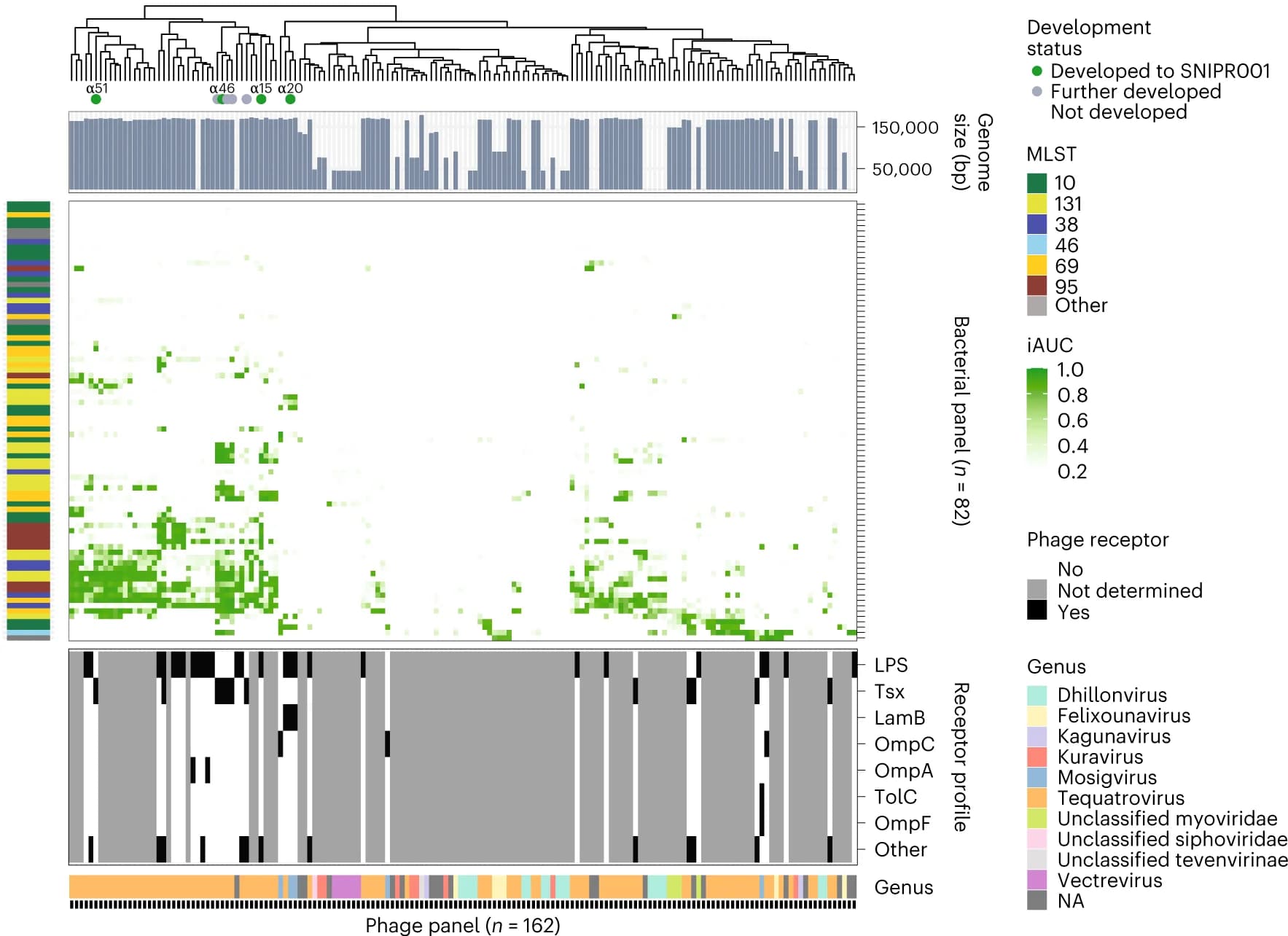 Open access visualization of Heatmap, Bar Plot, Clustered, Phages, E. coli strains