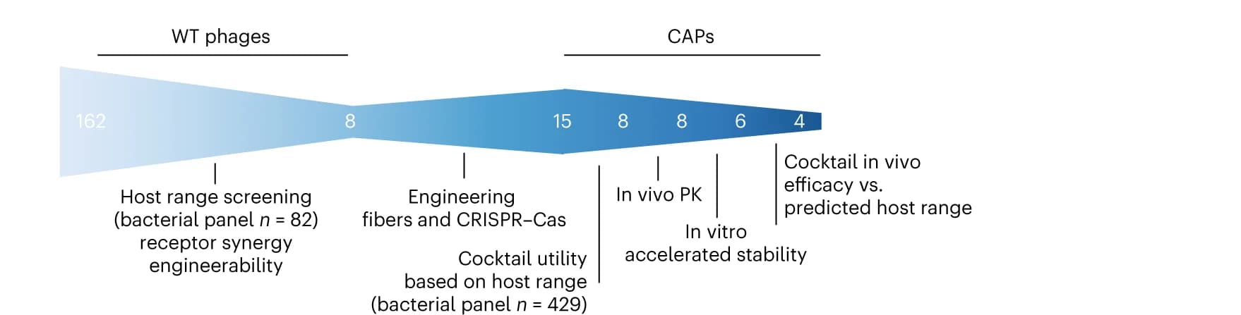 Open access visualization of Workflow, Flowchart, Phages, Engineering, Selection assays
