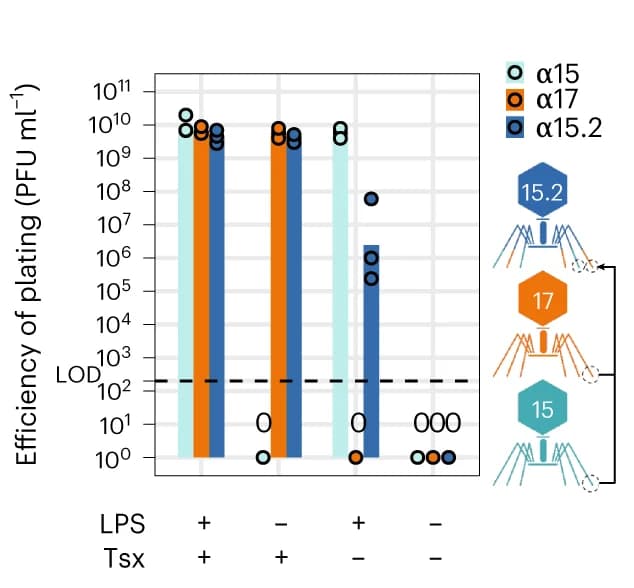 Open access visualization of Bar Plot, Scatter Plot, LPS, Tsx, Engineered CAP