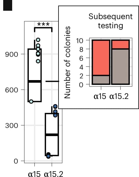 Open access visualization of Box Plot, Bar Plot, Stacked Bar Plot, Lawn Kill Assay, E. Coli