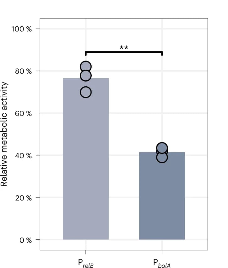 Open access visualization of Bar Plot, Metabolic Activity, Biofilms, CGVs, Promoter
