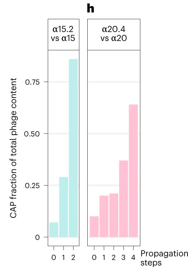 Open access visualization of Bar Plot, CAP, WT phage, Coculture, Host strain