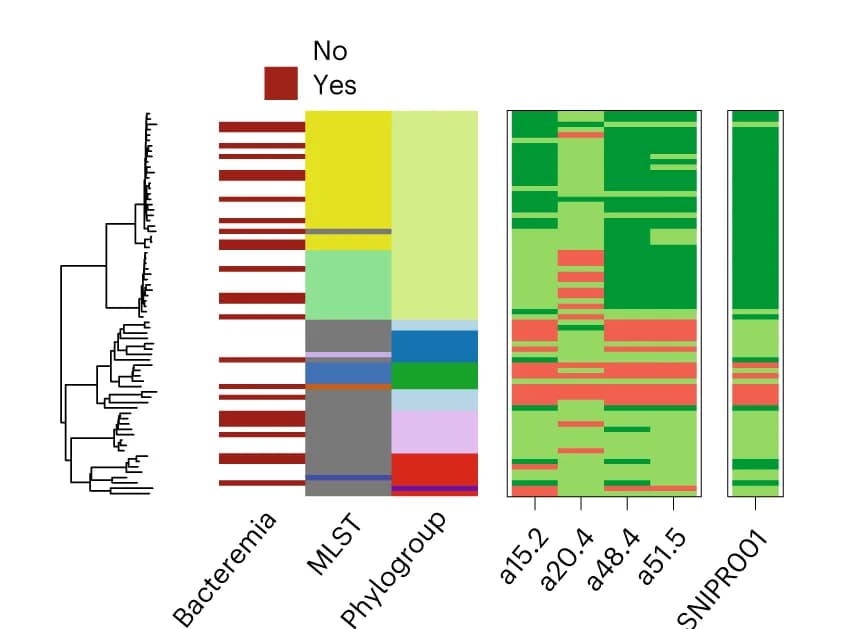 Open access visualization of Heatmap, Clustered, Bar Plot, Phylogenetic Tree, Fluoroquinolone Resistance