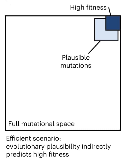 Open access visualization of Illustration, Mutations, Fitness, Evolution