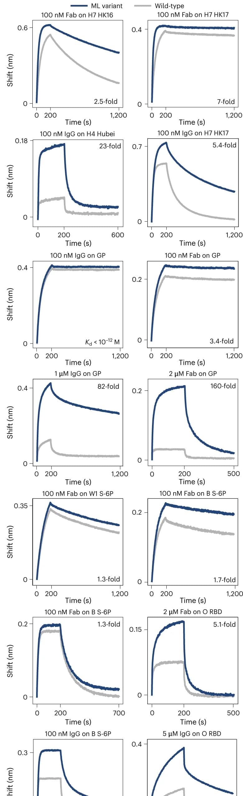 Open access visualization of Line Plot, Avidity, Affinity, BLI, IgG
