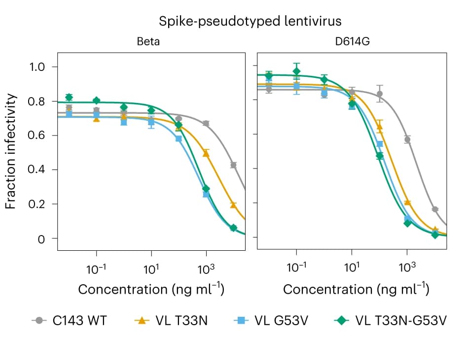 Open access visualization of Line Plot, Error Bars, Antibody, C143, Affinity Maturation