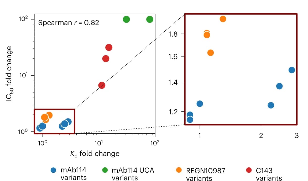 Open access visualization of Scatter Plot, Regression Plot, Kd, IC50, Antibody