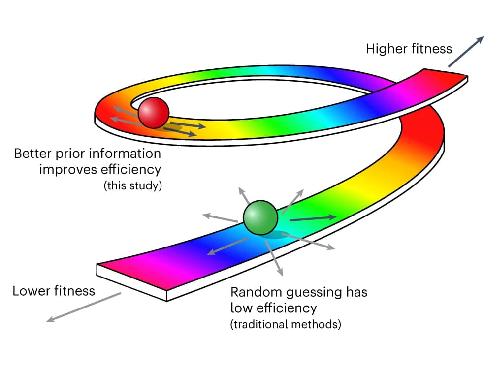 Open access visualization of Illustration, Workflow, Flowchart, Evolutionary Plausibility, Mutagenesis