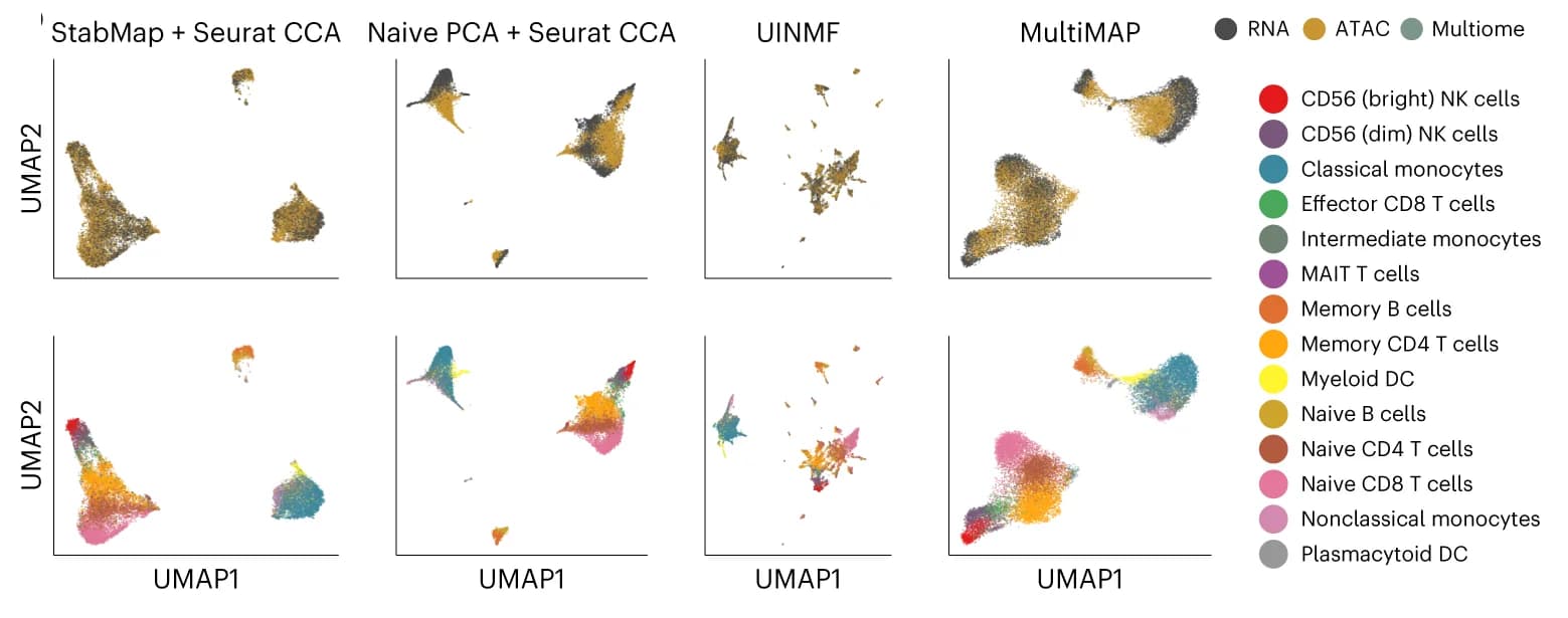 Open access visualization of UMAP, Scatter Plot, RNA Modality, ATAC Modality, StabMap