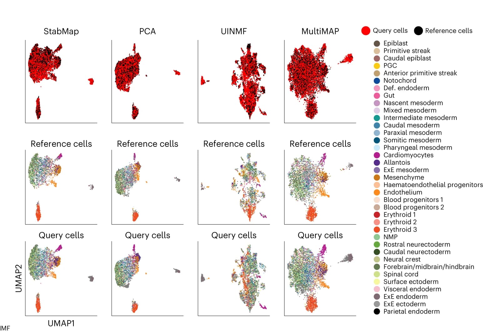 Open access visualization of UMAP, PCA, Scatter Plot, Mouse Gastrulation Atlas, StabMap