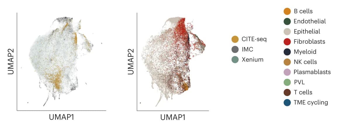 Open access visualization of UMAP, Scatter Plot, StabMap, Data Modality, Cell Type