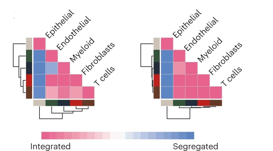 Open access visualization of Heatmap, Clustered, Cell-Cell Contact Maps, Cell Type, Mixing