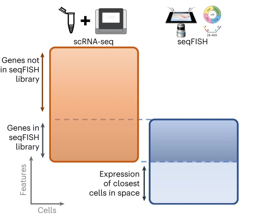 Open access visualization of Workflow, Flowchart, scRNA-seq, E8.5 mouse gastrulation atlas, WT/WT chimera