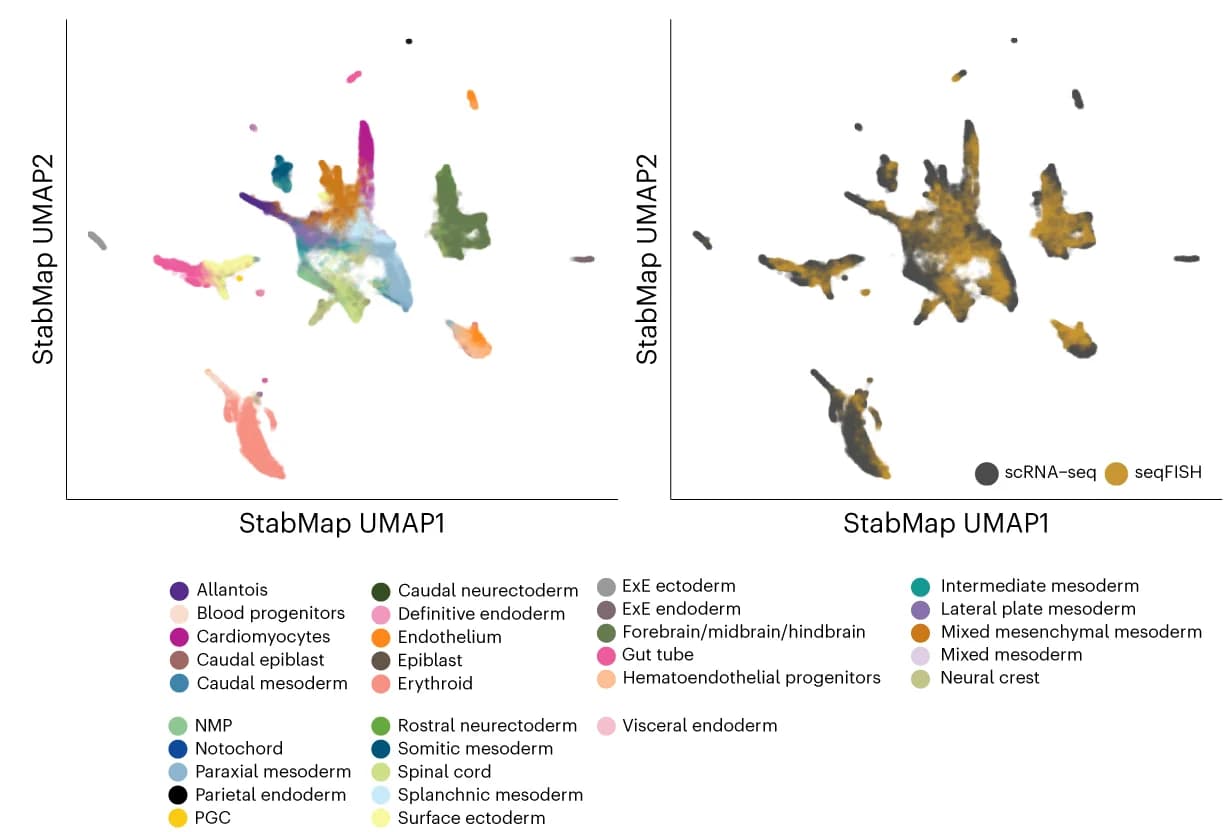 Open access visualization of Scatter Plot, UMAP, UMAP plots, StabMap, Cell Type
