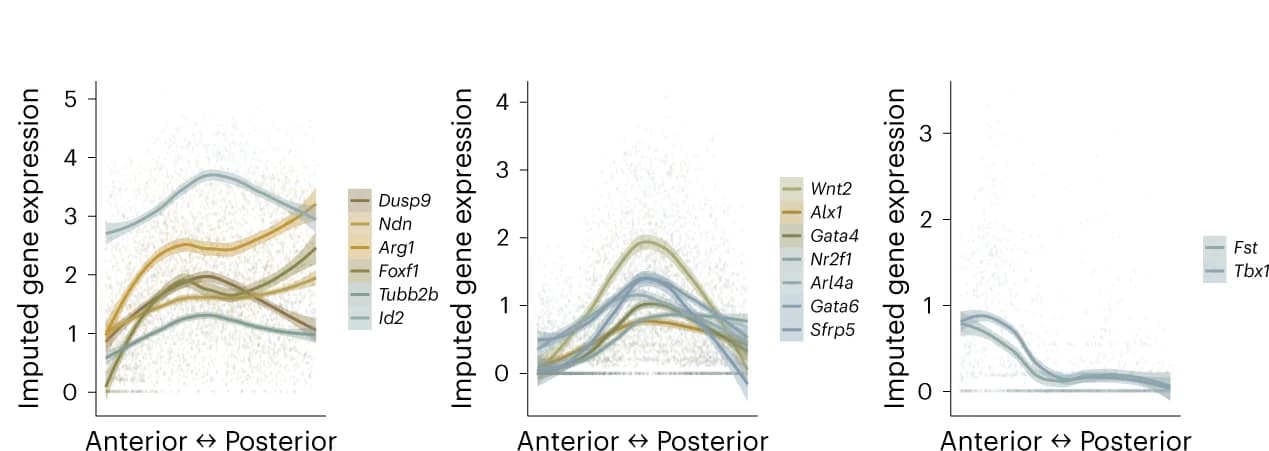 Open access visualization of Line Plot, Scatter Plot, Scatter plots, Gene expression, AP axis