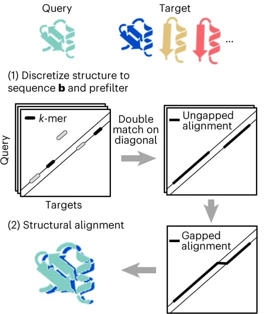 Open access visualization of Workflow, Illustration, Query Structures, Target Structures, 3Di Sequences