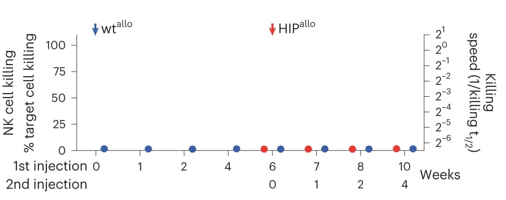 Open access visualization of Scatter Plot, Killing assays, NK Cells, Target cell killing
