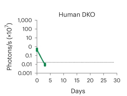 Open access visualization of Line Plot, Scatter Plot, FLuc+ islet clusters, Allogeneic, BLI