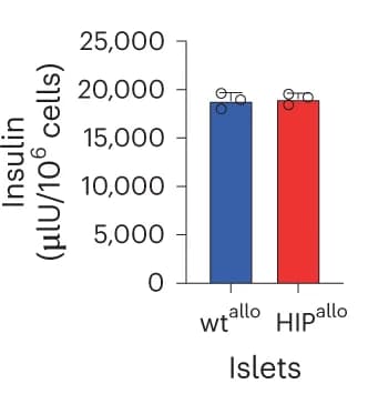 Open access visualization of Bar Plot, In Vitro, Insulin Secretion, Islets