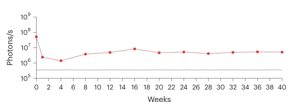 Open access visualization of Line Plot, Survival, Islets, Rhesus Monkeys, BLI