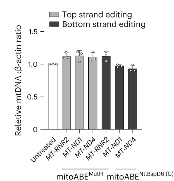 Open access visualization of Bar Plot, Error Bars, mtDNA, Quantitative PCR, Copy Number