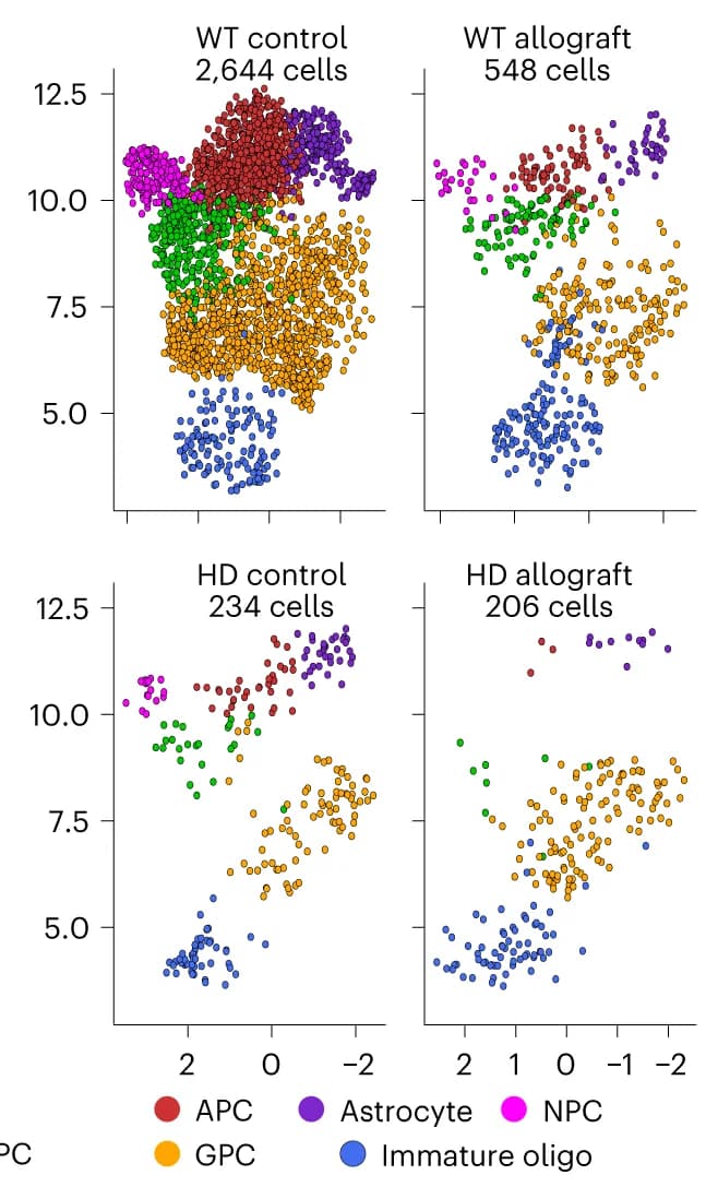 Open access visualization of Scatter Plot, UMAP, PCA, UMAP Visualization, scRNA-seq Data